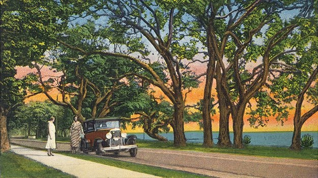 LB-GP-Beach-driveway-Gulf-Park